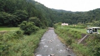 大井川(大井川(非)漁業協同組合) 釣果