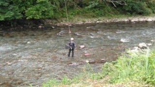 大井川(大井川(非)漁業協同組合) 釣果