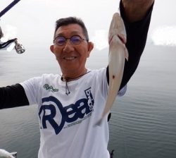 遊漁船 幸友丸 釣果