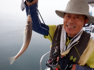 遊漁船 幸友丸 釣果