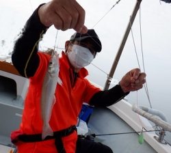 遊漁船 幸友丸 釣果