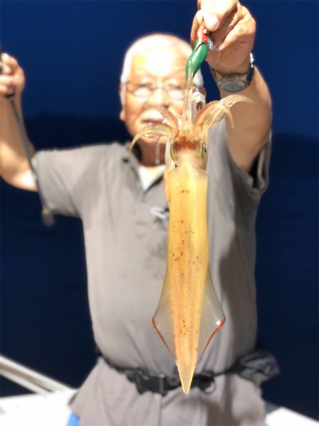 シーマン 釣果