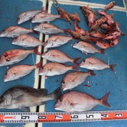 十八宝洋丸 釣果