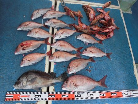 十八宝洋丸 釣果