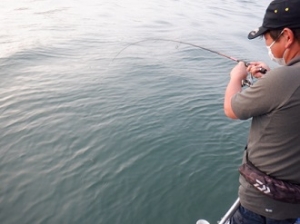 遊漁船 幸友丸 釣果