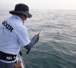 遊漁船 幸友丸 釣果