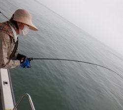 遊漁船 幸友丸 釣果