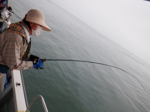 遊漁船 幸友丸 釣果