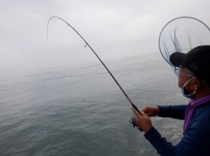 遊漁船 幸友丸 釣果