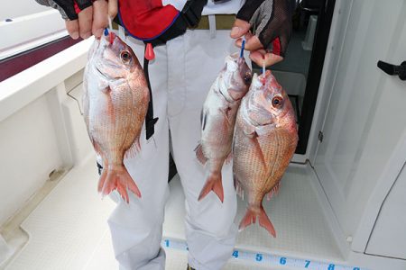松本釣船２ 釣果