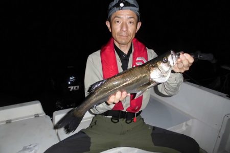 ルアー船マヒマヒ 釣果