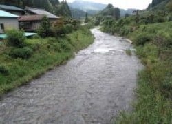 大井川（大井川(非)漁業協同組合） 釣果