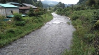 大井川（大井川(非)漁業協同組合） 釣果