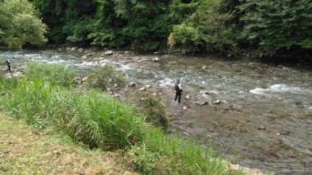 大井川（大井川(非)漁業協同組合） 釣果