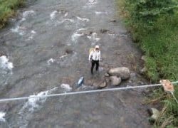 大井川（大井川(非)漁業協同組合） 釣果