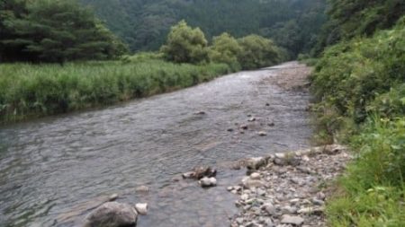 大井川（大井川(非)漁業協同組合） 釣果