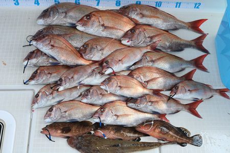 松本釣船2 釣果