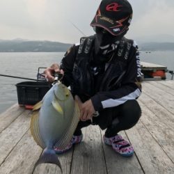 本部釣りイカダ 釣果