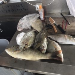 本部釣りイカダ 釣果