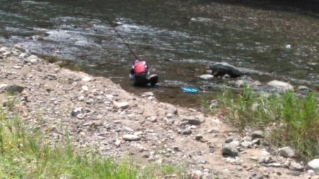 大井川(大井川(非)漁業協同組合) 釣果