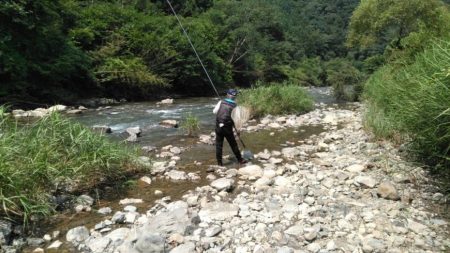 大井川（大井川(非)漁業協同組合） 釣果