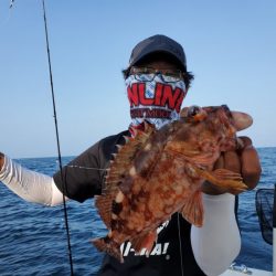 ブルーピア 釣果