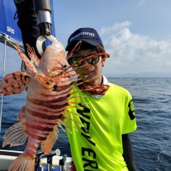 ブルーピア 釣果