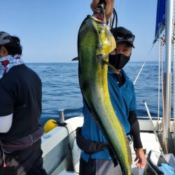 ブルーピア 釣果