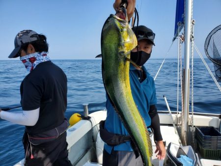 ブルーピア 釣果