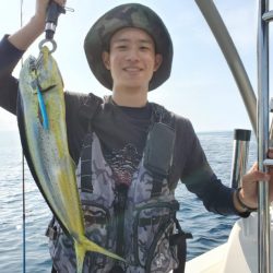 ブルーピア 釣果