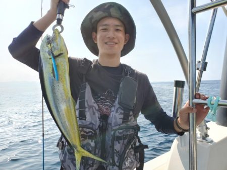 ブルーピア 釣果