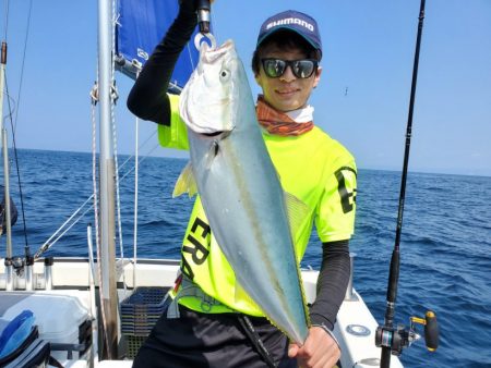 ブルーピア 釣果