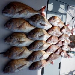 遊漁船 幸友丸 釣果