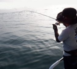 遊漁船 幸友丸 釣果