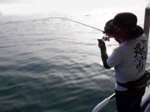 遊漁船 幸友丸 釣果