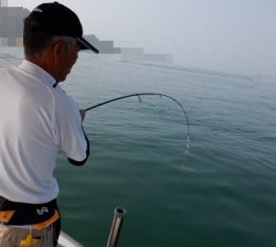 遊漁船 幸友丸 釣果