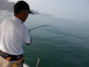 遊漁船 幸友丸 釣果