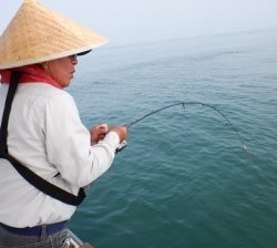 遊漁船 幸友丸 釣果