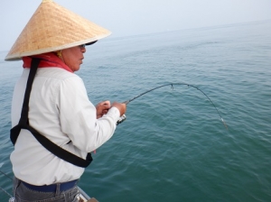 遊漁船 幸友丸 釣果