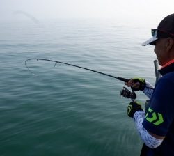 遊漁船 幸友丸 釣果