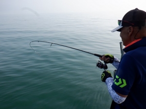 遊漁船 幸友丸 釣果