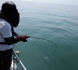 遊漁船 幸友丸 釣果