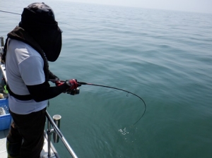 遊漁船 幸友丸 釣果