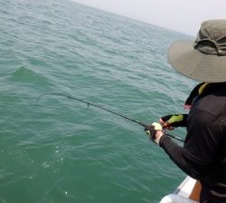 遊漁船 幸友丸 釣果