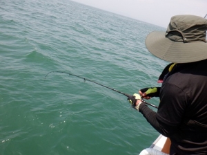 遊漁船 幸友丸 釣果