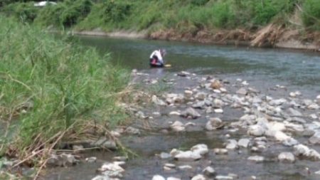 大井川（大井川(非)漁業協同組合） 釣果