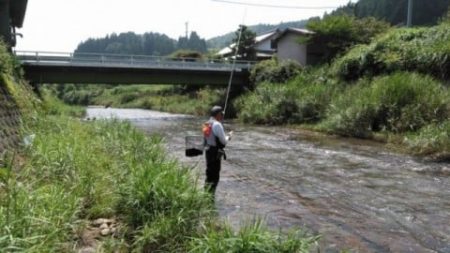 大井川(大井川(非)漁業協同組合) 釣果