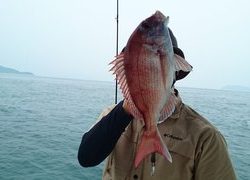 愛裕南丸 釣果