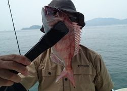 愛裕南丸 釣果