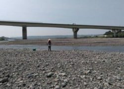 大井川(大井川(非)漁業協同組合) 釣果